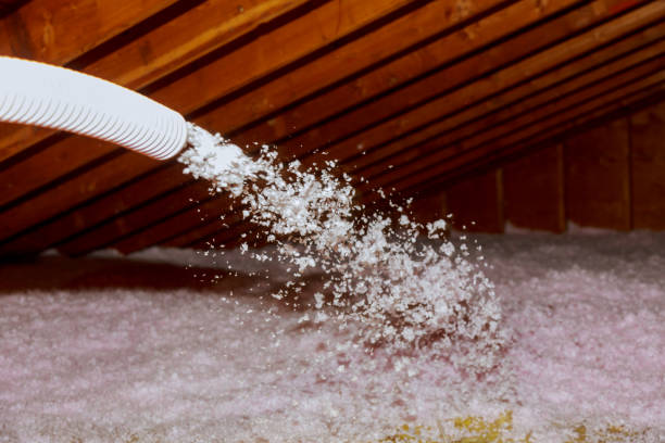 Best Eco-Friendly Insulation in Lovettsville, VA