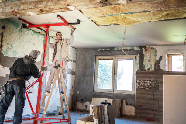 Best Cellulose Insulation in Lovettsville, VA